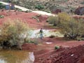 Ulea y porfidos mediterraneos en Abaran. Murcia