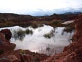 Ulea y porfidos mediterraneos en Abaran. Murcia