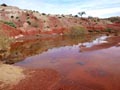 Ulea y porfidos mediterraneos en Abaran. Murcia