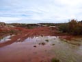 Ulea y porfidos mediterraneos en Abaran. Murcia