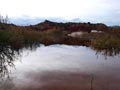 Ulea y porfidos mediterraneos en Abaran. Murcia