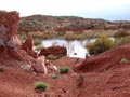 Ulea y porfidos mediterraneos en Abaran. Murcia