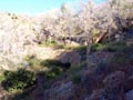 Minería del Hierro. Sierra de Orihuela. Alicante