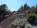 Barranco de la Escarabechuela. Enguidanos. Cuenca