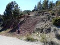 Barranco de la Escarabechuela. Enguidanos. Cuenca