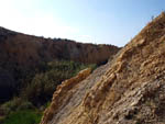 Lagunas de Rabasa.  Alicante