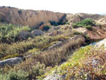 Lagunas de Rabasa.  Alicante