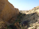 Lagunas de Rabasa.  Alicante