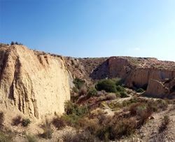 Lagunas de Rabasa.  Alicante