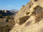 Grupo Mineralógico de Alicante. Barranco del Mulo. Ulea. Murcia