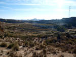 Grupo Mineralógico de Alicante. Barranco del Mulo. Ulea. Murcia