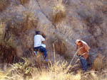 Grupo Mineralógico de Alicante. Valle de Ricote. Murcia 