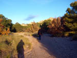 Grupo Mineralógico de Alicante. Barranco de los Ojos. Aspe. Alicante