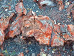 Grupo Mineralógico de Alicante. Barranco de los Ojos. Aspe. Alicante