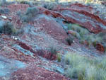 Grupo Mineralógico de Alicante. Barranco de los Ojos. Aspe. Alicante