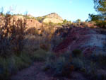 Grupo Mineralógico de Alicante. Barranco de los Ojos. Aspe. Alicante