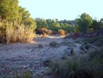 Grupo Mineralógico de Alicante. Barranco de los Ojos. Aspe. Alicante