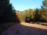 Grupo Mineralógico de Alicante. Barranco de los Ojos. Aspe. Alicante