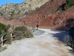 Grupo Mineralógico de Alicante. Barranco de los Ojos. Aspe. Alicante