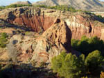 Grupo Mineralógico de Alicante. Barranco de los Ojos. Aspe. Alicante