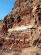 Grupo Mineralógico de Alicante. Barranco de los Ojos. Aspe. Alicante