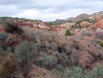 Grupo Mineralógico de Alicante. Barranco de los Ojos. Aspe. Alicante