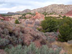 Grupo Mineralógico de Alicante. Barranco de los Ojos. Aspe. Alicante