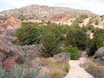 Grupo Mineralógico de Alicante. Barranco de los Ojos. Aspe. Alicante