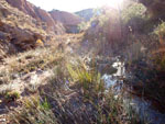 Grupo Mineralógico de Alicante. Barranco de los Ojos. Aspe. Alicante