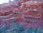 Grupo Mineralógico de Alicante. Barranco de los Ojos. Aspe. Alicante