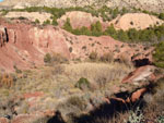 Grupo Mineralógico de Alicante. Barranco de los Ojos. Aspe. Alicante