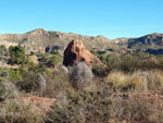 Grupo Mineralógico de Alicante. Barranco de los Ojos. Aspe. Alicante