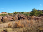 Grupo Mineralógico de Alicante. Barranco de los Ojos. Aspe. Alicante