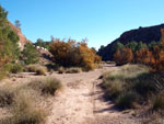 Grupo Mineralógico de Alicante. Barranco de los Ojos. Aspe. Alicante