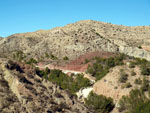 Grupo Mineralógico de Alicante. Barranco de los Ojos. Aspe. Alicante