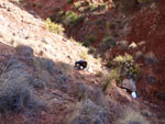 Grupo Mineralógico de Alicante. Los Yesares. Camporrobles. Valencia