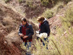 Grupo Mineralógico de Alicante. Los Yesares. Camporrobles. Valencia