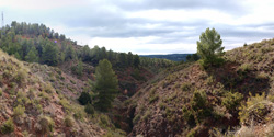 Grupo Mineralógico de Alicante. Los Yesares. Camporrobles. Valencia