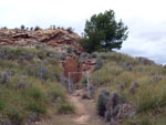 Grupo Mineralógico de Alicante.  Minas del Carmen. La Celia. Jumilla. Murcia