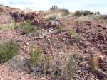 Grupo Mineralógico de Alicante.Antiguas explotaciones de Arcillas. Moralet. Alicante