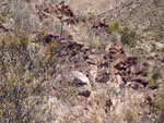 Grupo Mineralógico de Alicante. Aragonito. LCabezo de la Mina. Santomera. Murcia