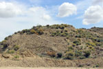 Grupo Mineralógico de Alicante.Cabezo Negro. Zeneta. Murcia Murcia