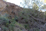 Grupo Mineralógico de Alicante. canteras de Porfido. Sierra de Oltra.Calpe. Alicante