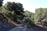 Grupo Mineralógico de Alicante. canteras de Porfido. Sierra de Oltra.Calpe. Alicante