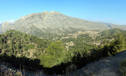 Grupo Mineralógico de Alicante. canteras de Porfido. Sierra de Oltra.Calpe. Alicante