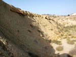 Grupo Mineralógico de Alicante. Cantera de los Morteros. Aspe. Alicante