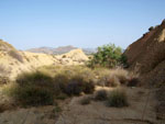 Grupo Mineralógico de Alicante. Cantera de los Morteros. Aspe. Alicante