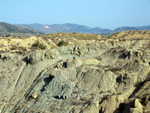 Grupo Mineralógico de Alicante. Cantera de los Morteros. Aspe. Alicante