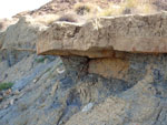 Grupo Mineralógico de Alicante. Cantera de los Morteros. Aspe. Alicante