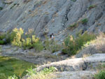 Grupo Mineralógico de Alicante. Cantera de los Morteros. Aspe. Alicante